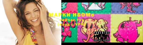 стаф Алзамай