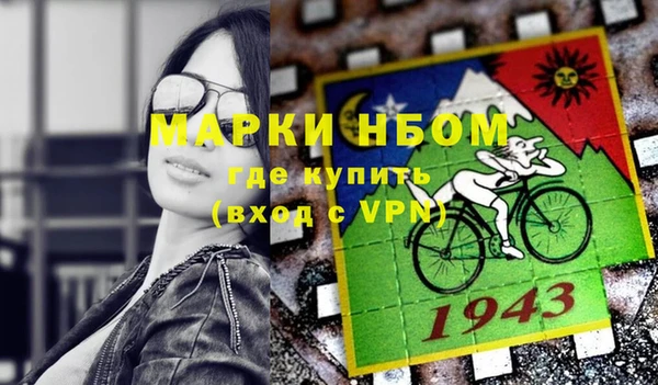 стаф Алзамай