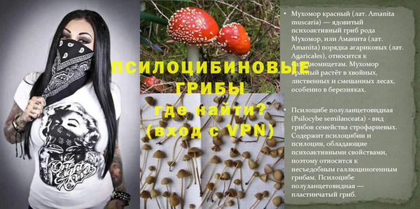 прущий лед Алексин