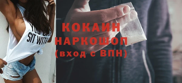 стаф Алзамай