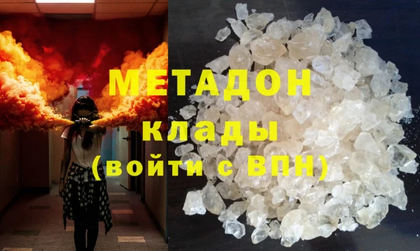 стаф Алзамай
