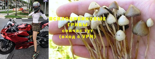 бутират Абаза