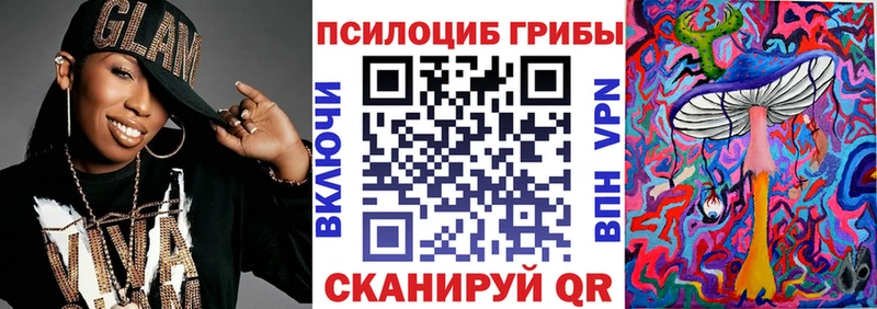 закладки  Чекалин  Псилоцибиновые грибы прущие грибы 